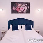 Vig * Timisoara