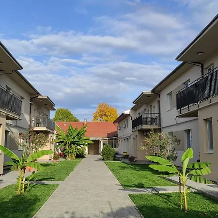 Vig * Timisoara