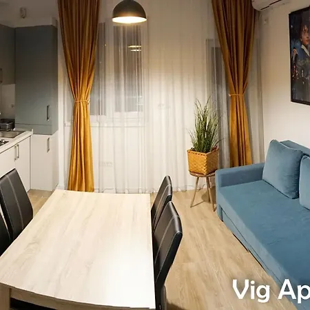 Apartment Vig Timisoara
