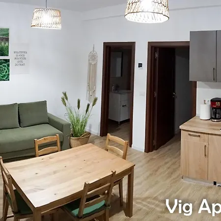 Vig *