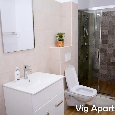 Vig * Тімішоара