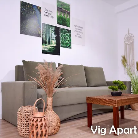 Vig Apartment Timisoara