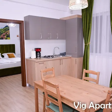 Apartment Vig Timisoara