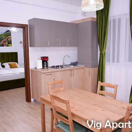 Apartament Vig Timişoara