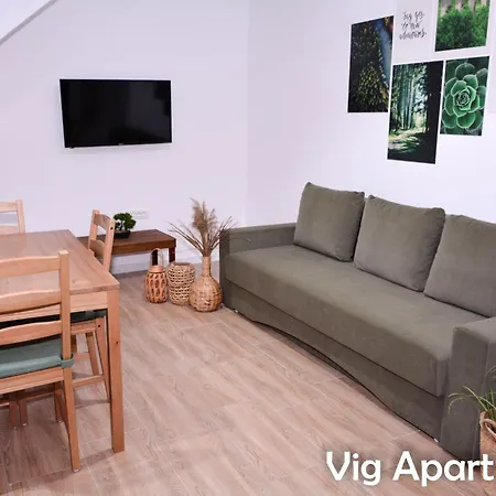 Vig