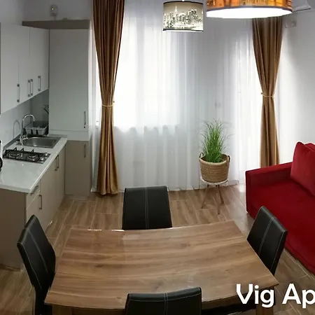 アパート Vig ティミショアラ