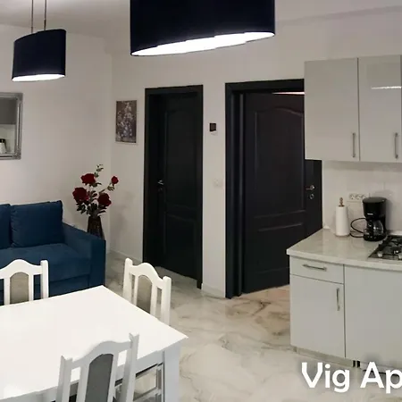 Apartment Vig Timisoara