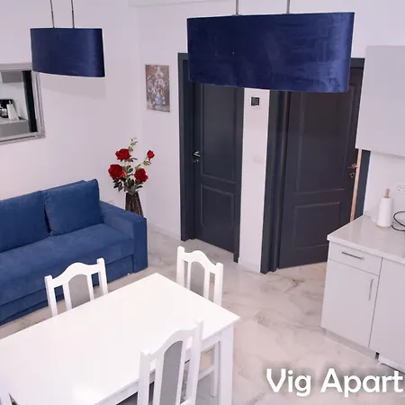 Vig
