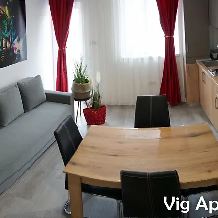 Vig Timisoara