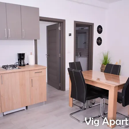 Vig Apartment Timisoara