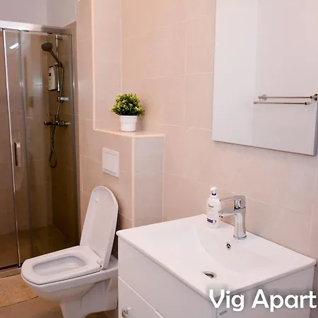 Apartament Vig *