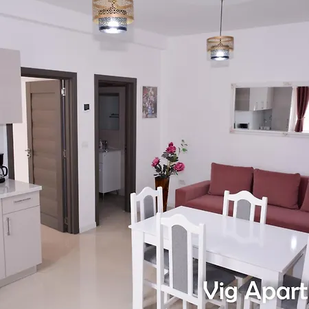 Apartment Vig Timisoara