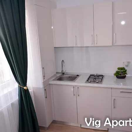 Vig