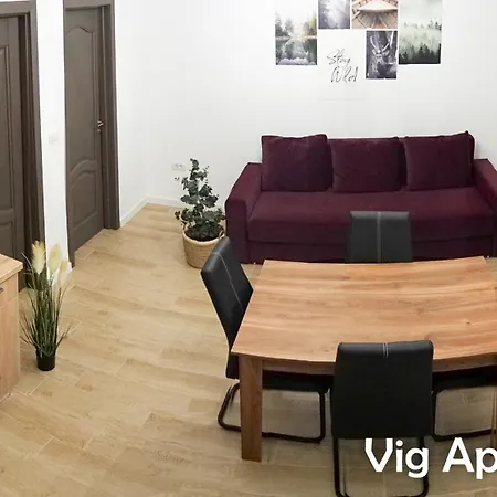 Vig Timisoara