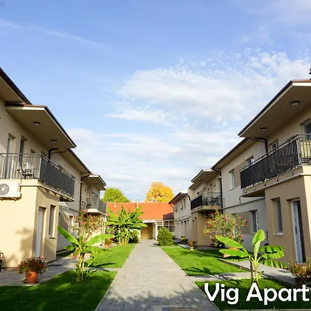 Vig Apartment Timisoara
