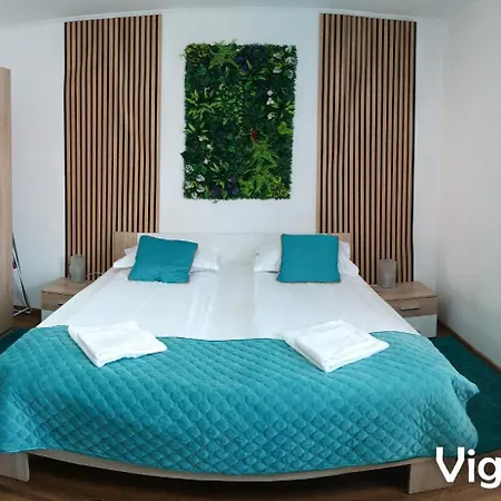 Vig * Timisoara