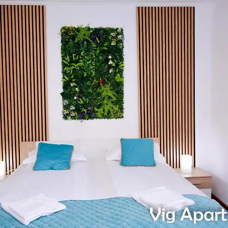 Apartamento Vig *