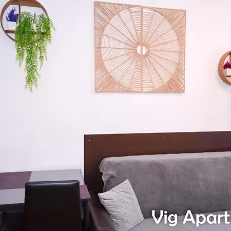 Vig Timisoara
