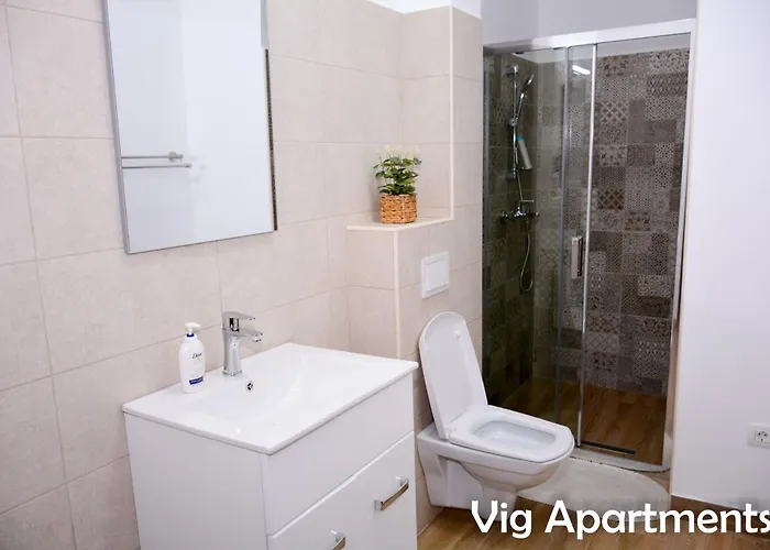 Vig * تيميشورا