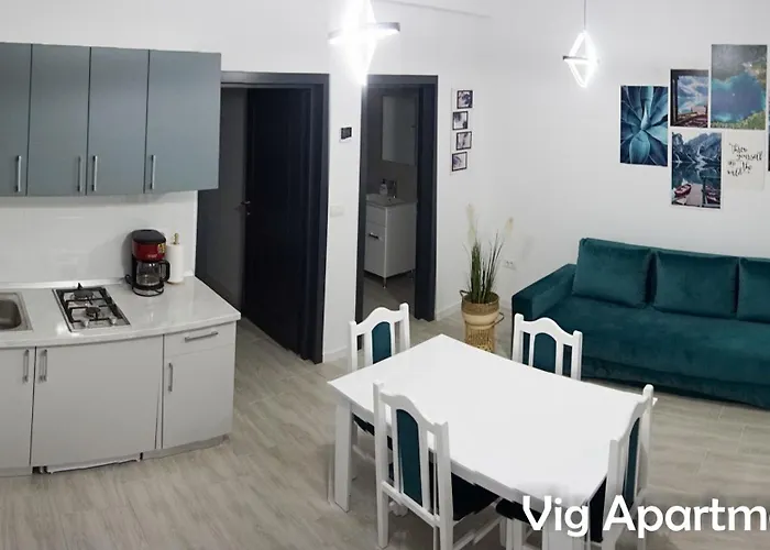 شقة Vig *