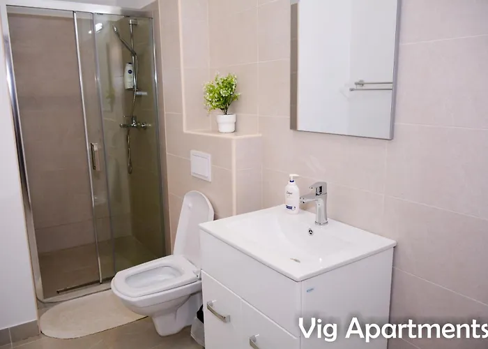 Apartment Vig Timisoara