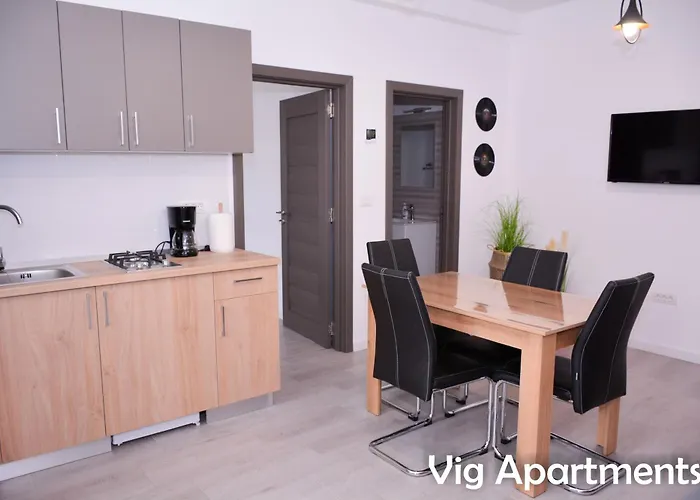 Vig Apartment Timisoara